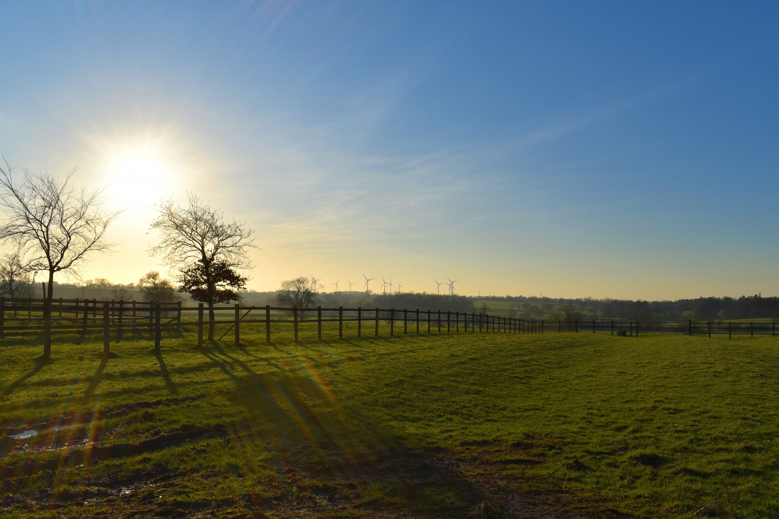 COVID-19 Update (25/03/20)