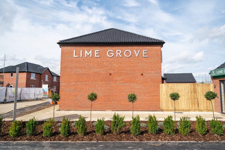 Lime Grove | 